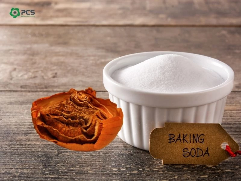 diệt gián bằng baking soda